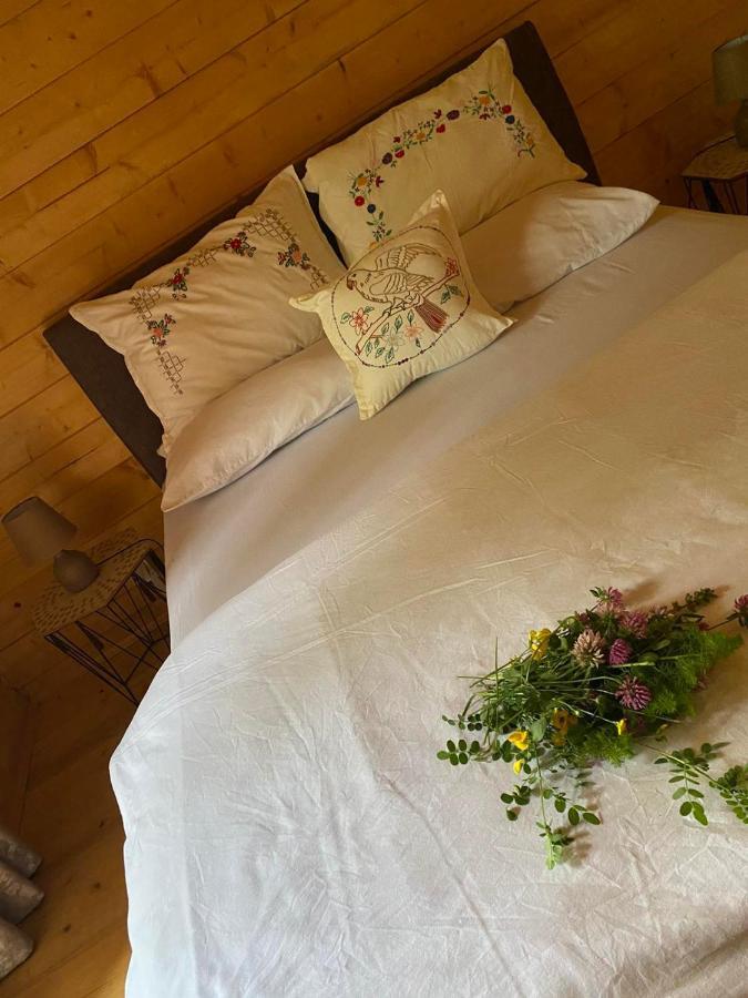 Ranc Mujica Apartment บาร์ ภายนอก รูปภาพ