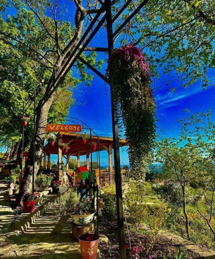 Ranc Mujica Apartment บาร์ ภายนอก รูปภาพ